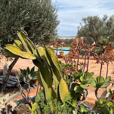Olivares Rural Los Albaricoques المظهر الخارجي الصورة