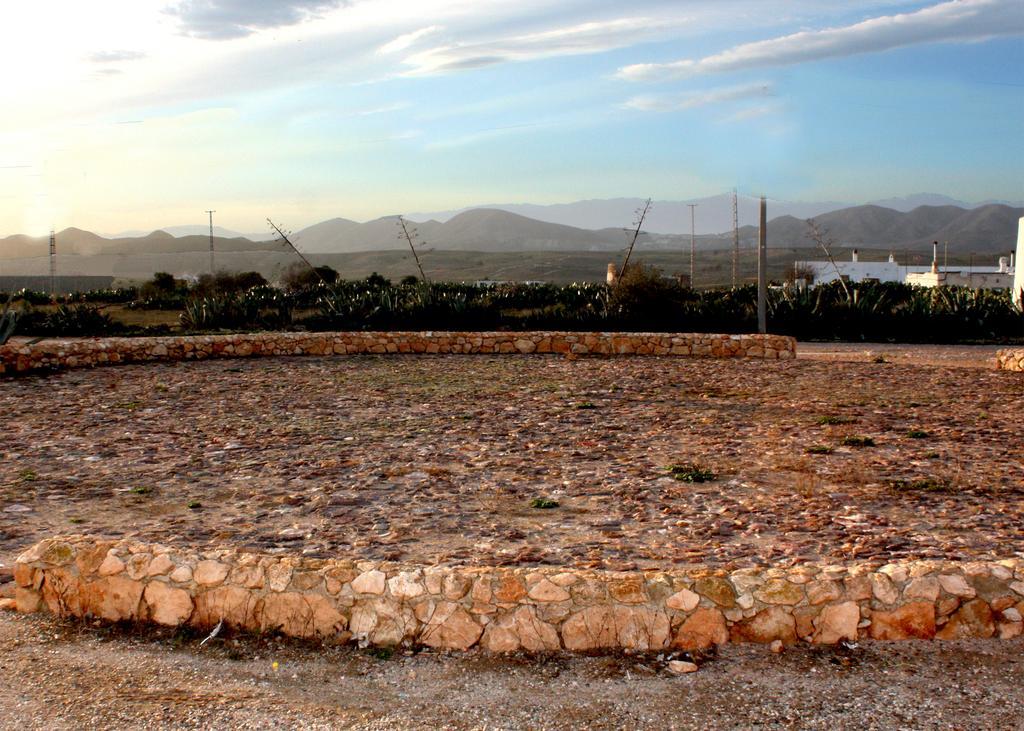 Olivares Rural Los Albaricoques المظهر الخارجي الصورة