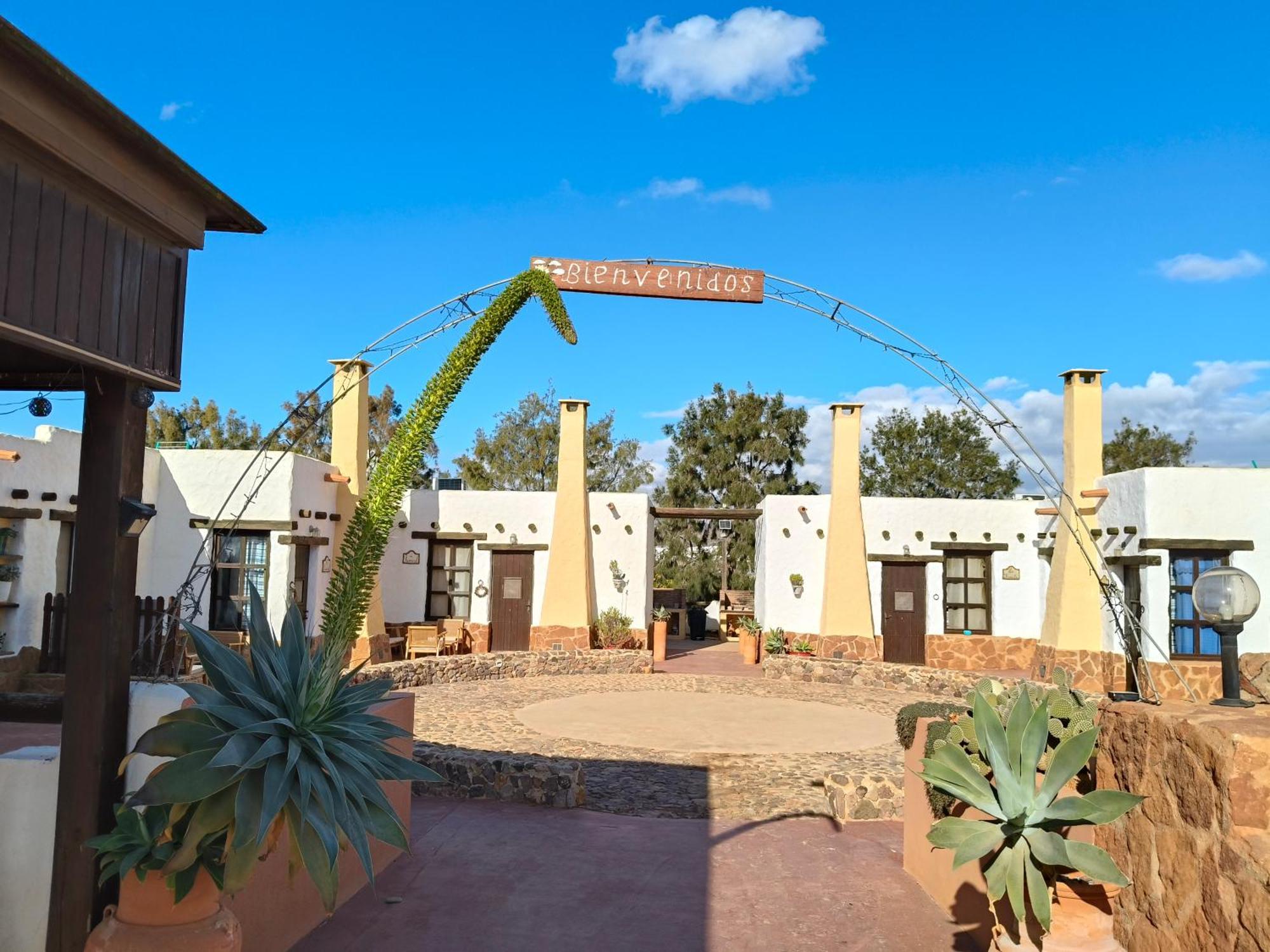 Olivares Rural Los Albaricoques المظهر الخارجي الصورة