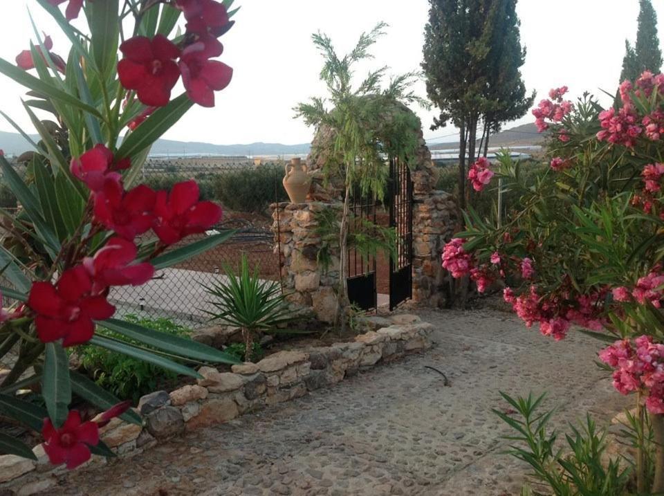 Olivares Rural Los Albaricoques المظهر الخارجي الصورة