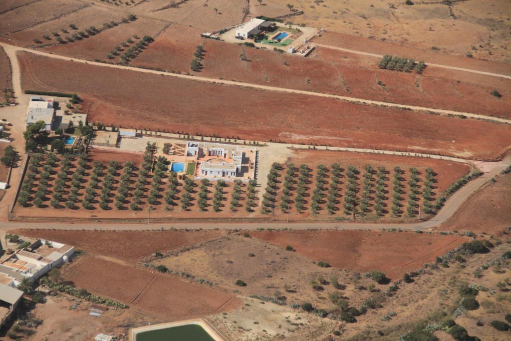 Olivares Rural Los Albaricoques المظهر الخارجي الصورة