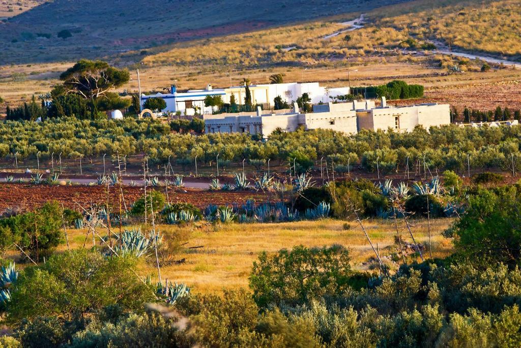 Olivares Rural Los Albaricoques المظهر الخارجي الصورة