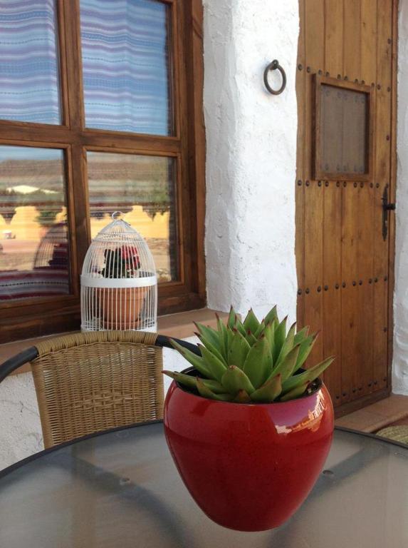Olivares Rural Los Albaricoques المظهر الخارجي الصورة